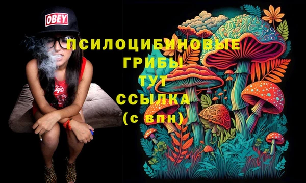 PSILOCYBIN Аркадак