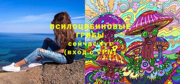 PSILOCYBIN Аркадак