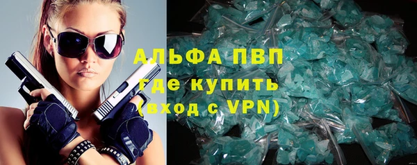 PSILOCYBIN Аркадак