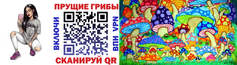 Псилоцибиновые грибы Cubensis  Аркадак 